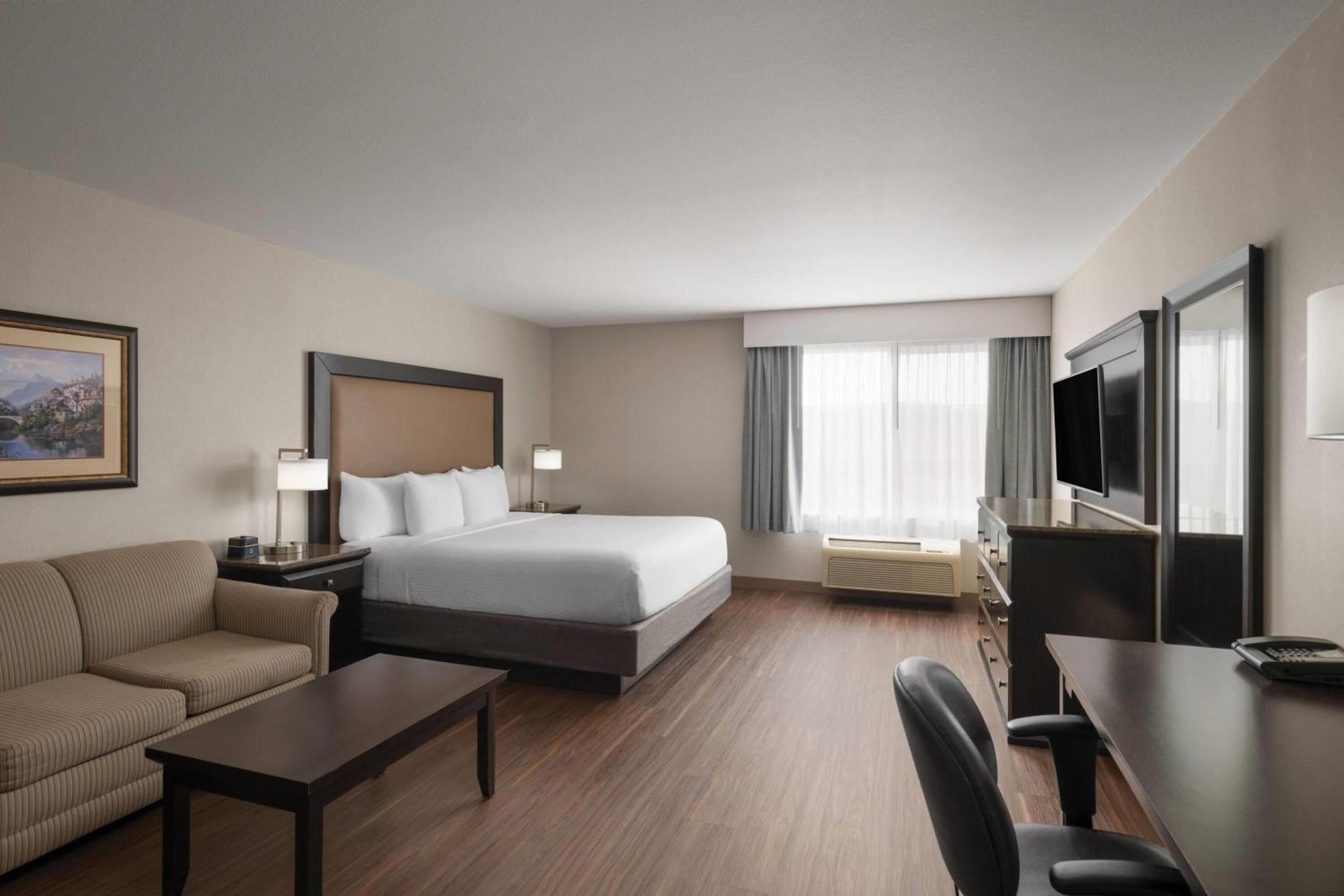 Executive King Room Sofa Bed