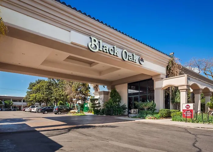 Best Western Plus Black Oak Paso Robles